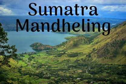 Sumatra Mandheling EXTRA Dark Roast